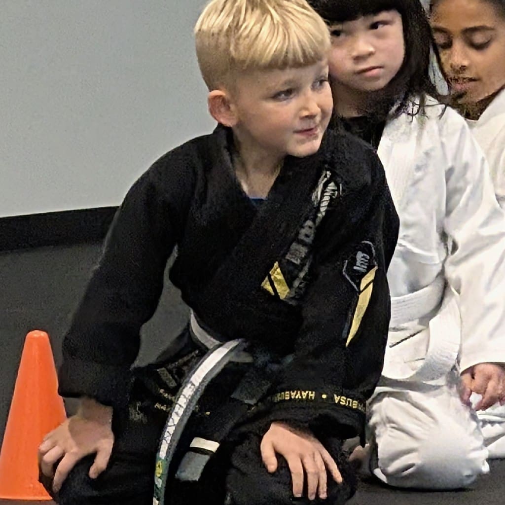 Birthday Party RSVP | FLO Martial Arts Stouffville